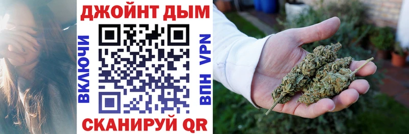 где купить наркоту  Истра  Бошки Шишки SATIVA & INDICA 